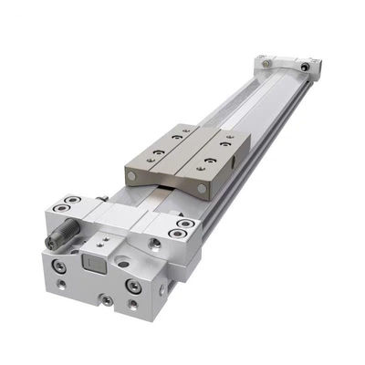 パーソナライズ可能なピストン用気圧シリンダー MY1B MY1B40-100/200/300/...1500/.../2000