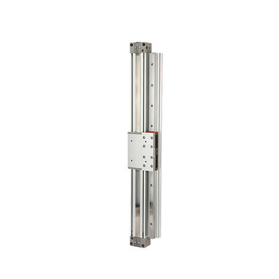パーソナライズ可能なピストン用気圧シリンダー MY1H20-100 /200/300/...1500/... /2000