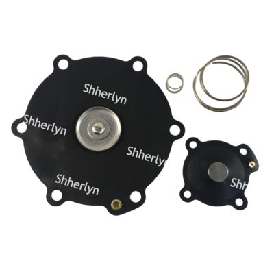 Mecair 2インチ ダイヤフラム修理キット DB116 DB16 VNP216 VEM216 VNP316 VITON カスタマイズ