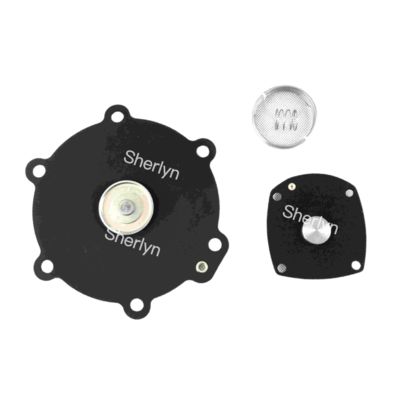 M50 弁膜修理キット トルボ 2" DN50 FP55 FM55 SQP50 SQM60