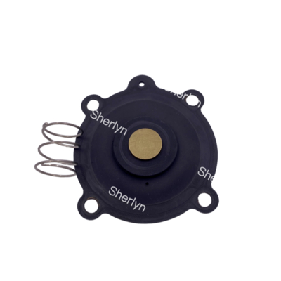 ASCO C131606 弁の修理キット SCE238D004 SCE238D009 水弁弁 NBR/VITON