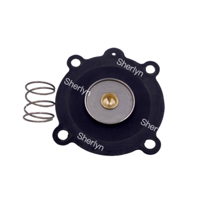 ASCO C131606 弁の修理キット SCE238D004 SCE238D009 水弁弁 NBR/VITON