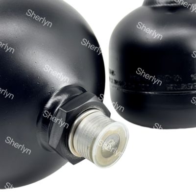 Volvo Accumulator 0.32L VOE14606263