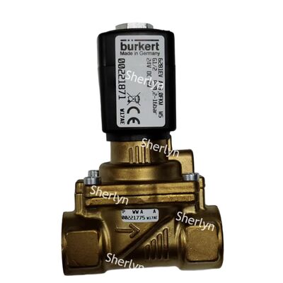 6281 Burkert ソレノイドバルブ 00221870 AC220V G3/8 2位置2方 FKMシール