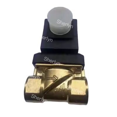 Burkert 6281 シリーズ 00221868 G3/8 2位置2方 FKM シール DC24V