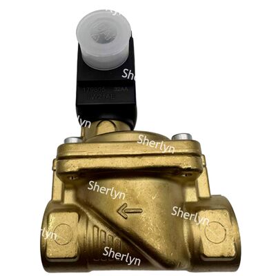 6281 バーカート 電磁弁 00221931 G3/4 2/2 ノーマルオープン AC24V