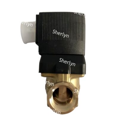 BURKERT 00221880 6281 電磁弁 G1 2/2 NC 高温流体制御弁