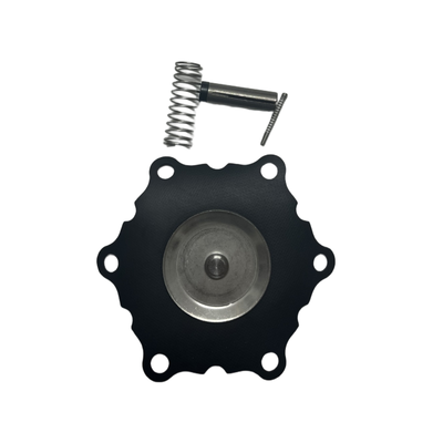 ASCO SCE210D004 電磁弁更新膜 K302379 1インチサイズゴム弁 自動生産ラインの磨かれた密封器の交換