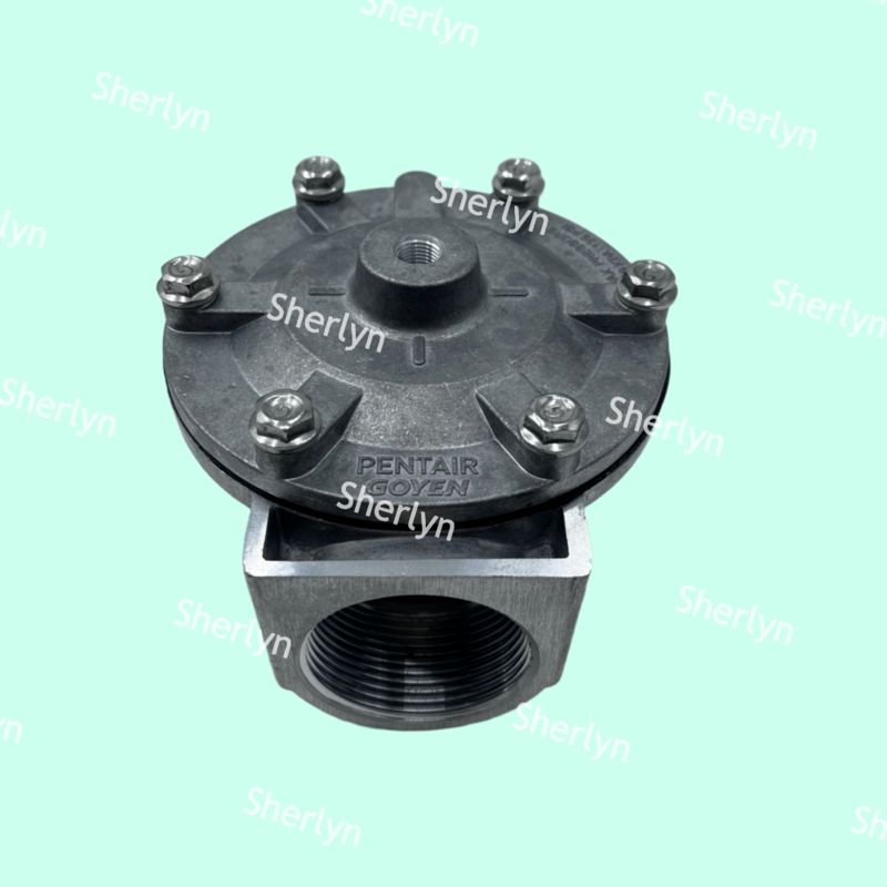 GOYEN パルスバルブ RCA35T RCA32T 1.5インチ 電磁パルスバルブ スプレーバルブ 空気圧バルブ