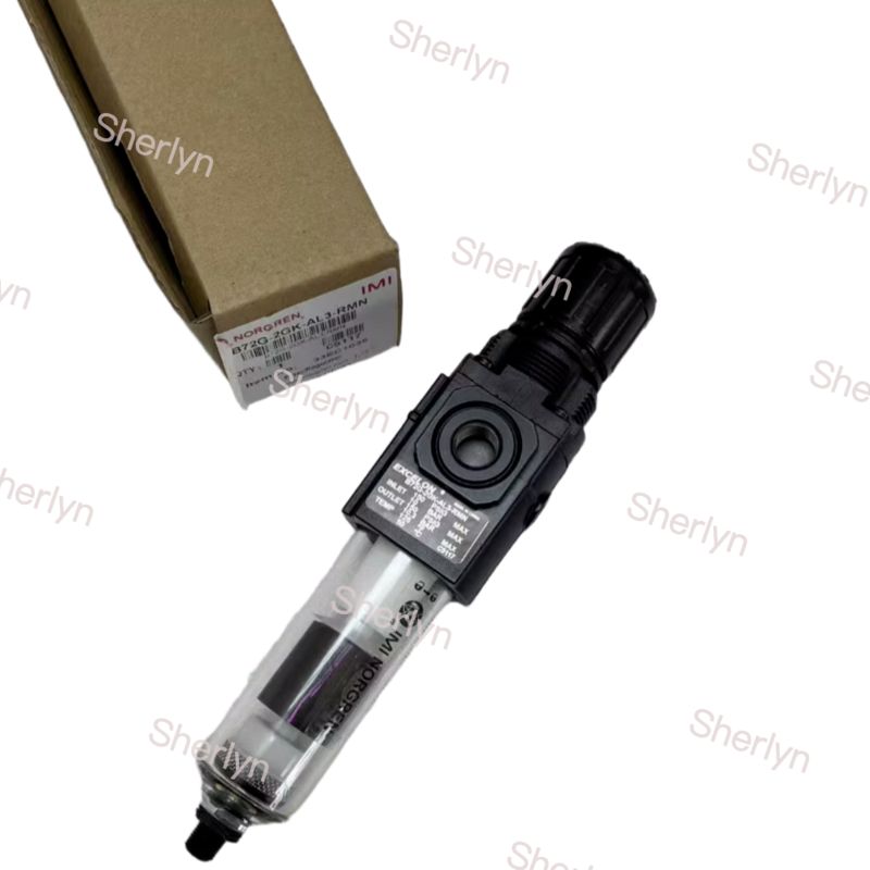 ノルグレン B72Gシリーズ フィルター圧縮バルブ 1/4 "PTF B72G-2GK-AL1-RMN