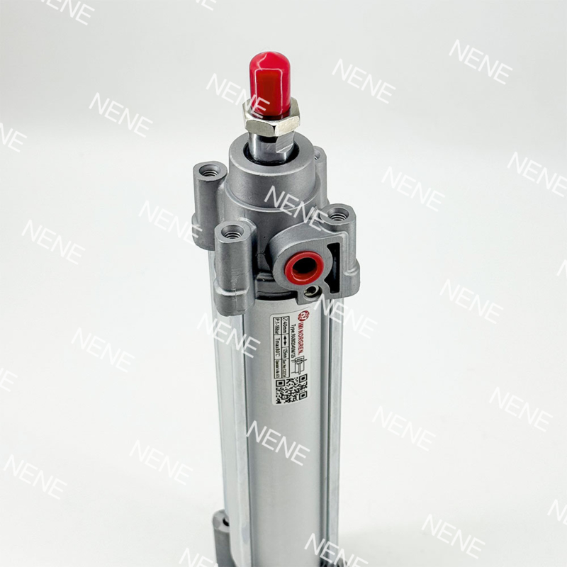 RA/802032/M/50 二重作用ピストン フィルタ付きの中間用気圧シリンダー ISO 15552 標準NORGREN