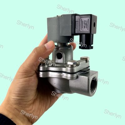 Goyen タイプ パルスジェットバルブ 3/4 インチ CA20T CA20T010-300 CA20T010-305